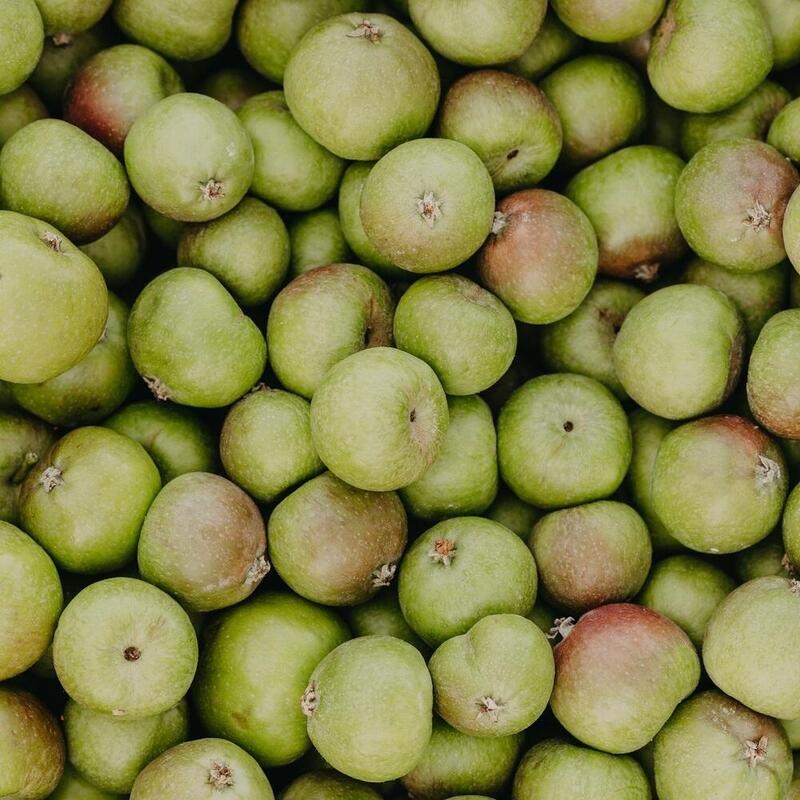 RAUSCH Anti-Pollution-Shampoo m.Schweizer Apfel